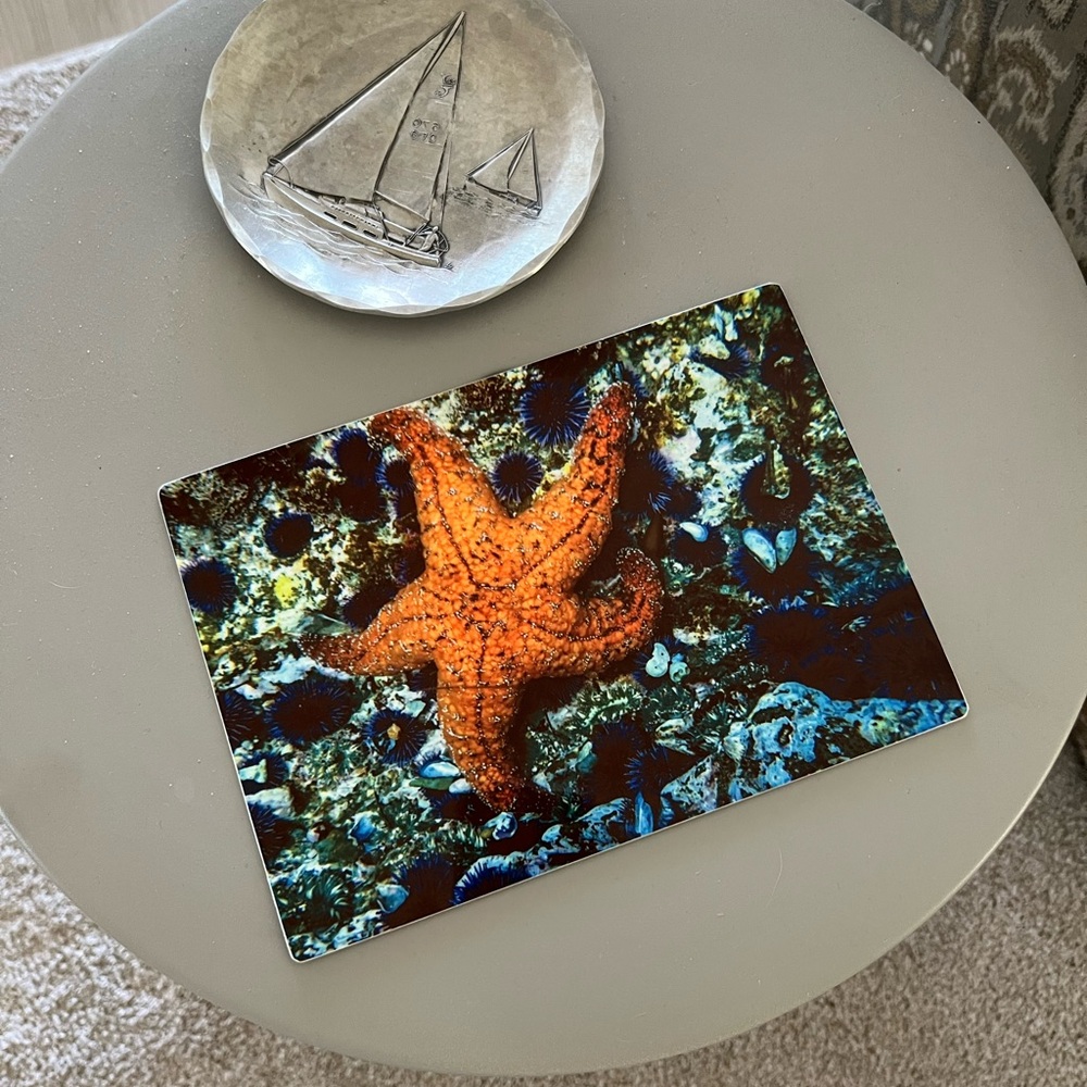 Photo Tin Laguna Beach Artist Signed Sea Star Photo 5 x 7 Starfish